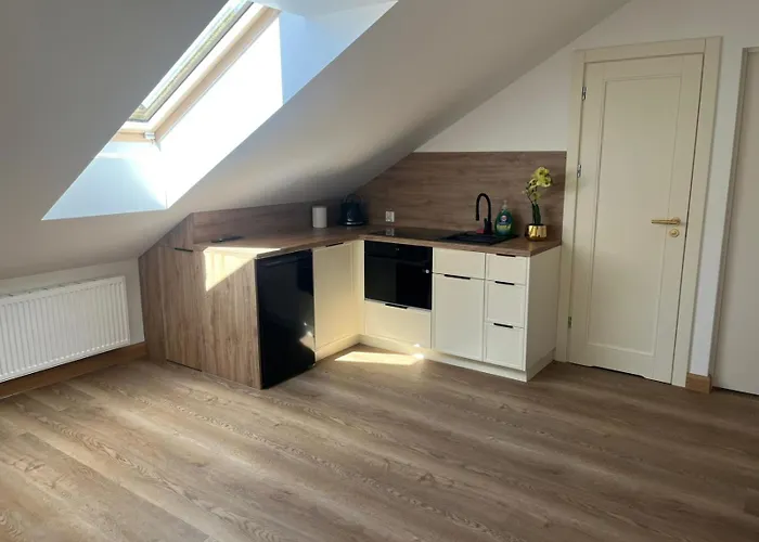 Lesna Przystan Kazub Nr 12 شقة Cieciorka